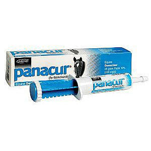 Panacur Equine Dewormer Paste