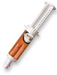ProbioticWise Paste for Horses
