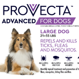 Provecta Advanced for Dogs