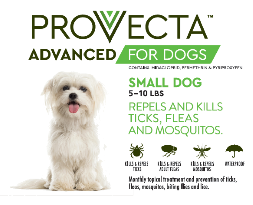 Provecta Advanced for Dogs — PETRX.com
