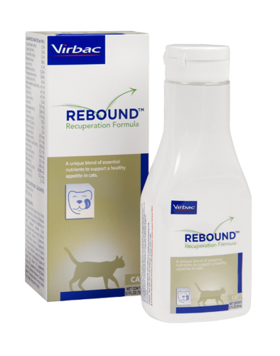 Rebound Recuperation Formula for Cats