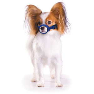 Standard Quick Muzzle