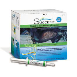 Succeed Digestive Conditioning Paste for Horses 0.95oz tubes (30 count)
