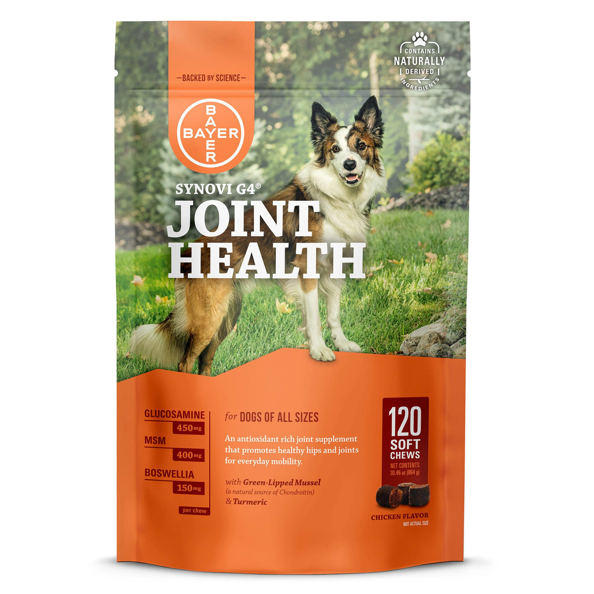 Synovi G4 Soft Chews for Dogs
