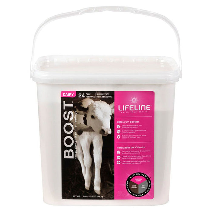 Lifeline Boost Colostrum Booster for Dairy Calves