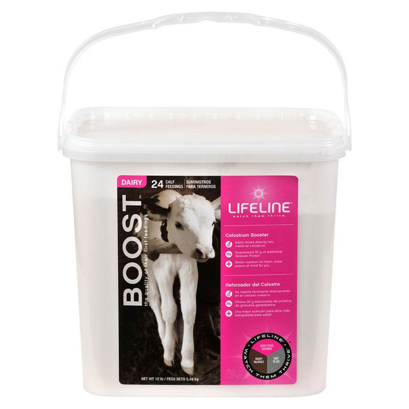 Lifeline Boost Colostrum Booster for Dairy Calves
