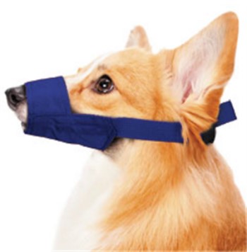 Standard Quick Muzzle