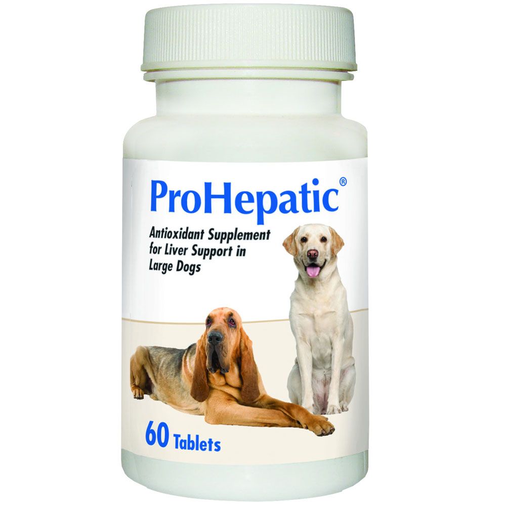 ProHepatic Liver Support