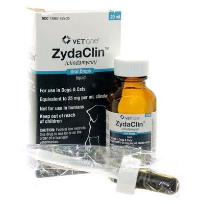 Zydaclin (Clindamycin) Oral Drops for Dogs & Cats
